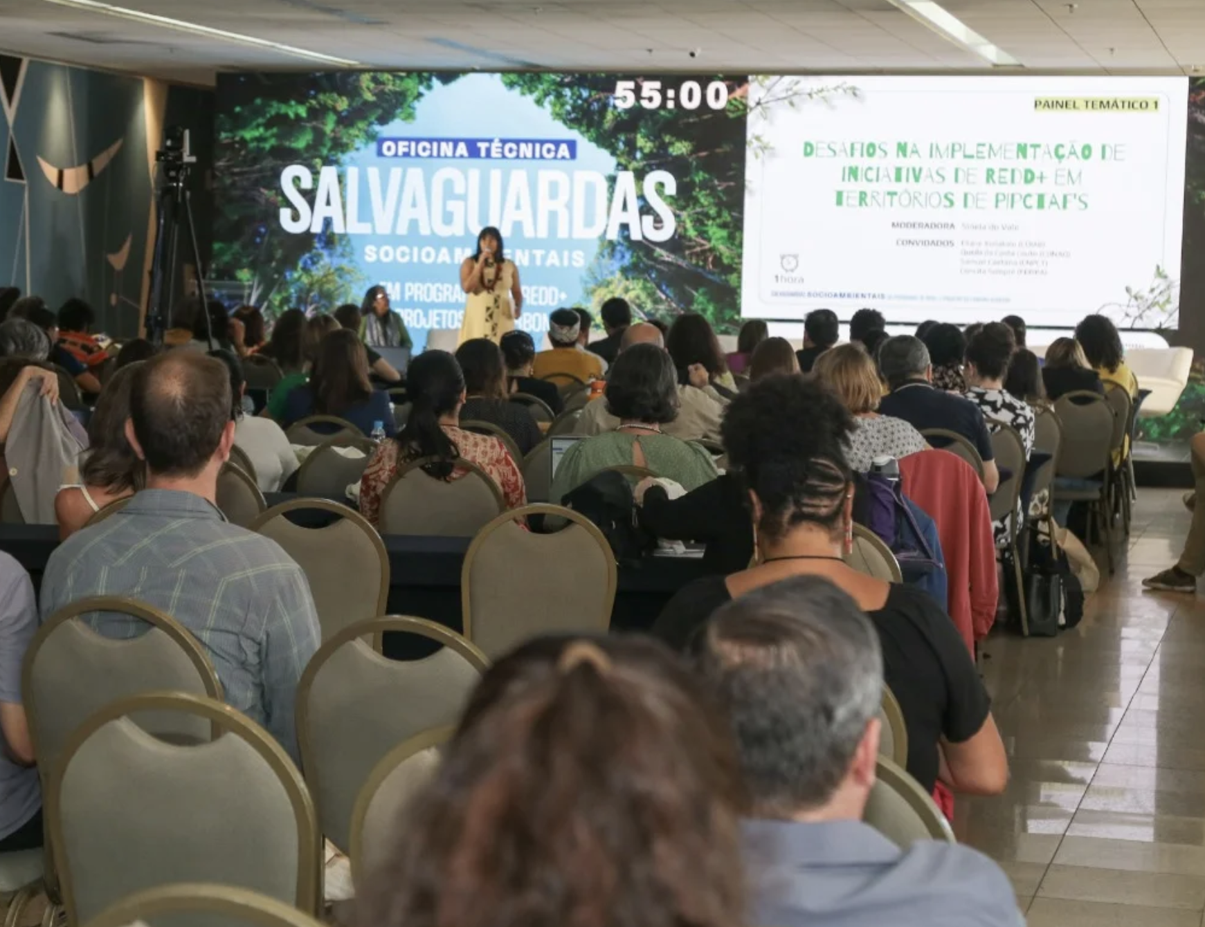 Oficina da CONAREDD+ reúne governos e sociedade civil para discutir salvaguardas socioambientais de REDD+