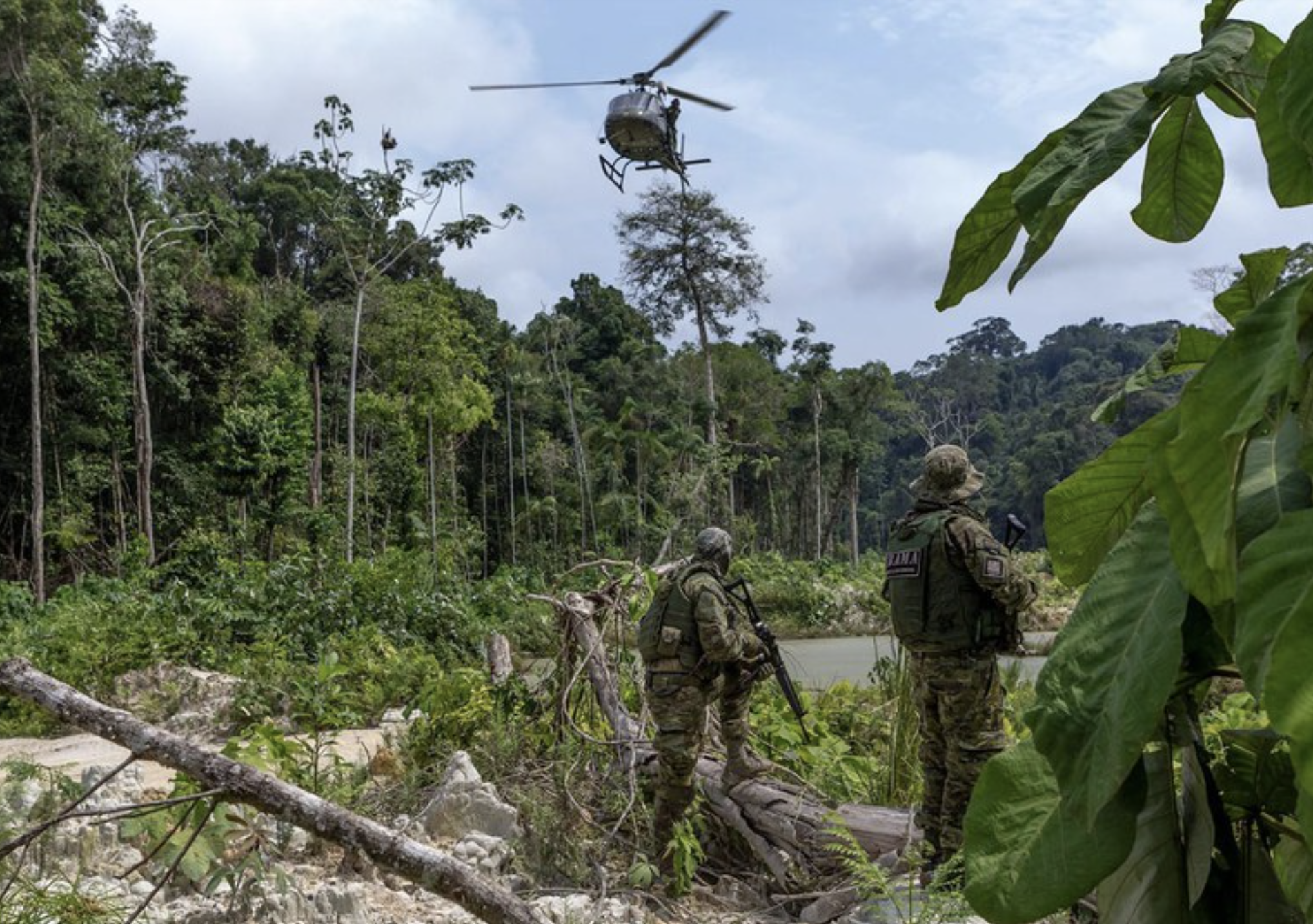Desmatamento cai 30,6% na Amazônia e 25,7% no Cerrado em 2024
