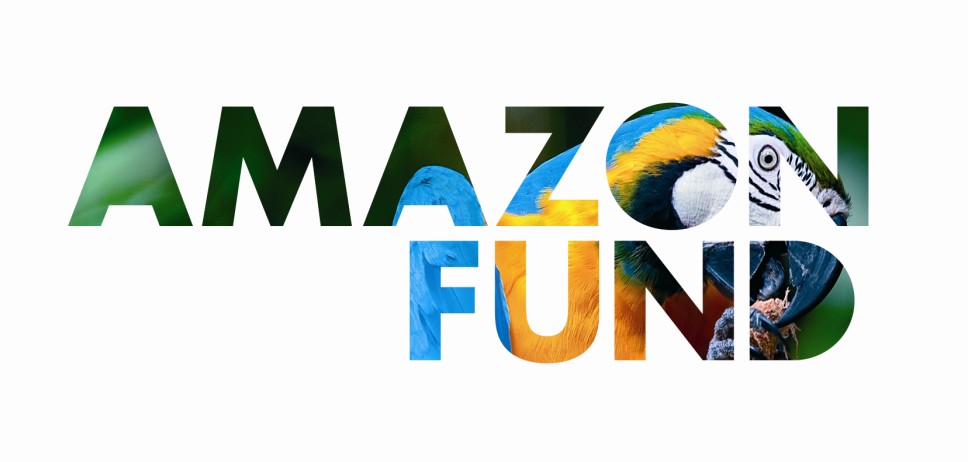 Amazon Fund